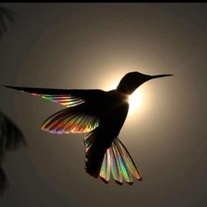 Meet your Posher, Rebecca r.